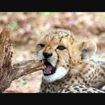 nick bode - @nick.bode - Instagram