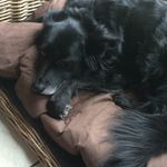 Nick Bode - @nick__2403 - Instagram