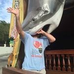 Nick Boehm - @boehmnick - Instagram