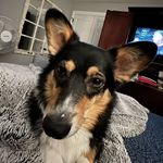 Nick Boehm - @dubzz71 - Instagram