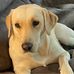 Nic Bonner - Facebook