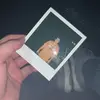 Nick Bonner - @nbonner88 - TikTok