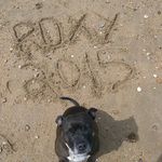 Nick Booker - @nbooker - Instagram