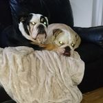 Nick Booker - @nickbooker2614 - Instagram