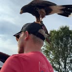Nick Borders - Facebook