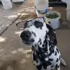 Nicholas - @nick.bott - TikTok
