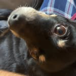 Nick Botto - @nick_botto21 - Instagram