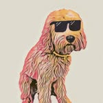 Nick Botts - @nick.botts - Instagram