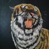 Nick Boucher402 - @boucher44 - TikTok