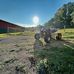 Nick Brenner - Facebook