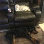 @bufordtandnick - Instagram