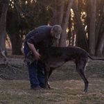 Nick Butts - @satcon - Instagram