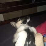 Takielbridges - @nick_cadet_the_frist - Instagram