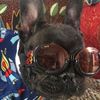 Nick Campion - @nichcampion - TikTok