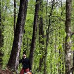 Nick Cantrell - @cantrell_tree_service - Instagram