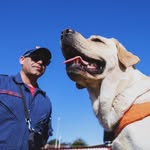 Sgt Kiill & Nick - @nick_cao_bombeiro - Instagram
