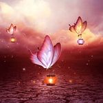 Nick Capobianco - @nickcapobianco12345432 - Instagram