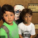 Nick Cardenas - @nickcardenaas - Instagram