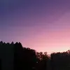 Nick_Carol - @nicoli_lutzer - TikTok