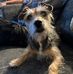Nick Cartwright - Facebook