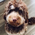 Nick Cartwright - @nick_cartwright_56 - Instagram