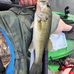 Nick Carver - Facebook