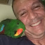 Nick Cascione - @nickcascione2 - Instagram