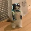nickcascio - @nickcascio9 - TikTok