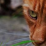 Nick Cassell - @nick_cassell - Instagram