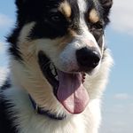 Nick Chamberlain - @hellaymyboi - Instagram