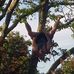 Nick Chamberlain - Facebook