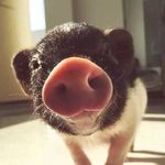 holly!! - @nickcheung - Instagram