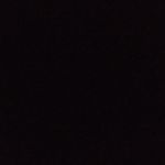 Nicholas Chiechi - @nick.spamzzzs - Instagram