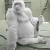 Nick Clements - @nickclements0 - TikTok