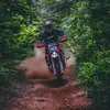 Nick Clements - @nickclements49 - TikTok