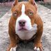 Nick Coetzee - Facebook
