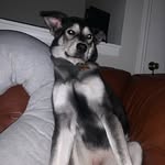 Nick Condon - @nick_condon78 - Instagram