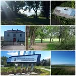 Nick Condon Sen - @nickcondon64 - Instagram
