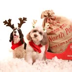 Nicky Constable - Facebook