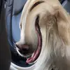 Nick Copeland - @nick.copeland - TikTok