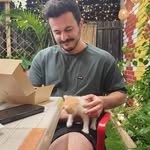 Nick Cornetta - @nickstreetscornettos - Instagram
