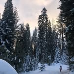 Nick Coviello - @nick.coviello - Instagram