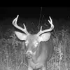 Crum - @nickcrum606 - TikTok