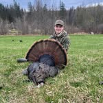 Nick Crum - @nick_crum - Instagram