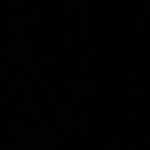 Nick Cullen - @nick_cullenn - Instagram