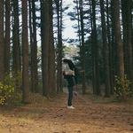 Nick Cummings - @nick_cummings_ - Instagram