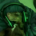 Nick Cummins - @capt_chaos2000 - Instagram