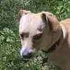 Nick Cundiff - @nick.cundiff - TikTok