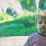 Nick Cuneo - @nick_cuneo - Instagram