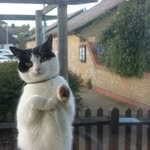 Nick Curson - @cursonnick - Instagram